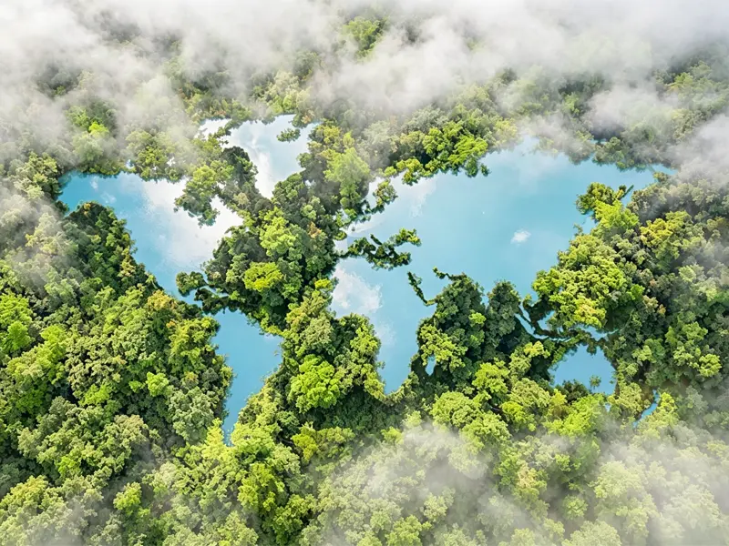 Pioneering the Circular Economy