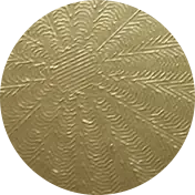 Champagne Gold