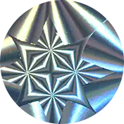 Holographic Floral Silver
