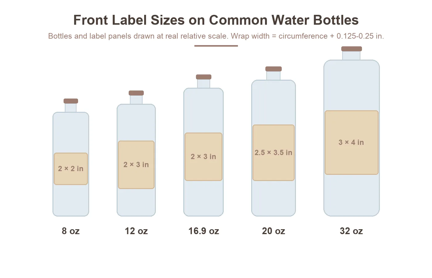 Front label sizes on common water bottles from 8 oz to 32 oz drawn at real relative scale